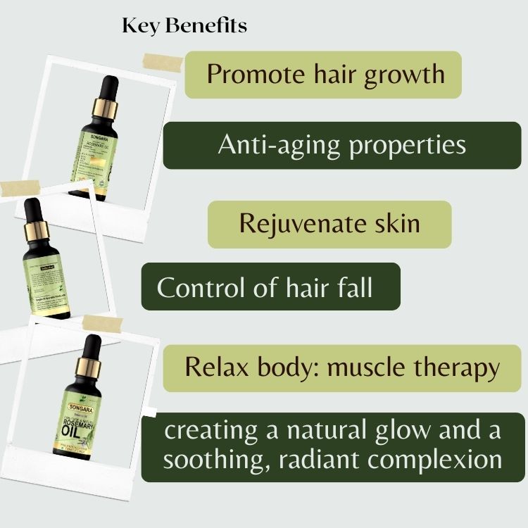 Songara Rosemary Oil: Ayurvedic Essential Oil for Hair Growth Hair Fall Control and Nourishment Skin Care | 100% Pure