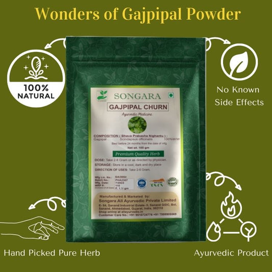 Songara Gaj Pipal -Ayurvedic Gajpeepal - Gaj Peepal - Scindapsus Officinalis Powder| Pure Natural and Ayurvedic (Pack