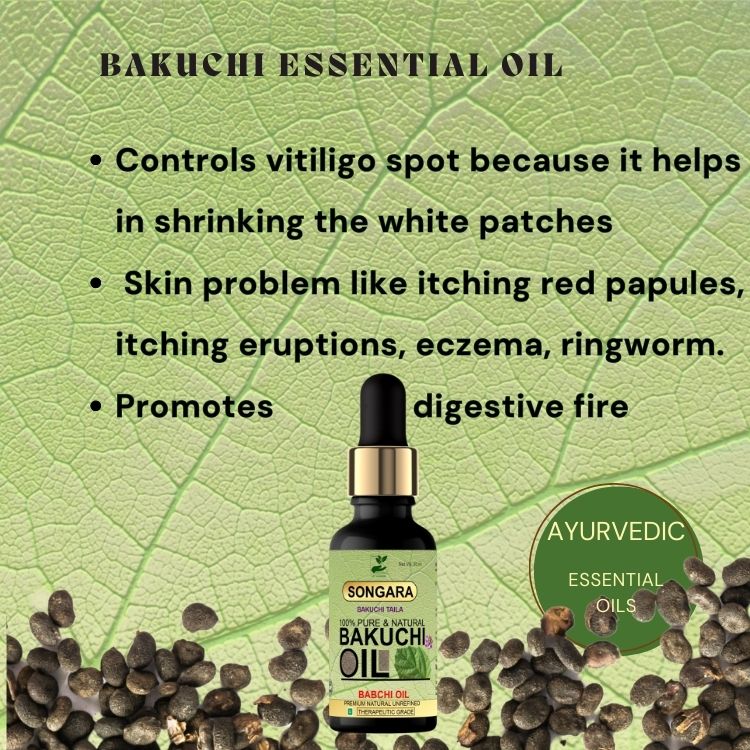 Songara Bakuchi Oil (Psoralea corylifolia): Natural Therapeutic 100% Undiluted Natural & Therapeutic Grade