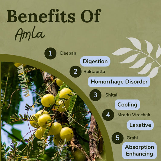 Songara Amla Powder - (Phyllanthus emblica) Best for Hair Vitamin C Supplement Natural Detoxifier - Powder