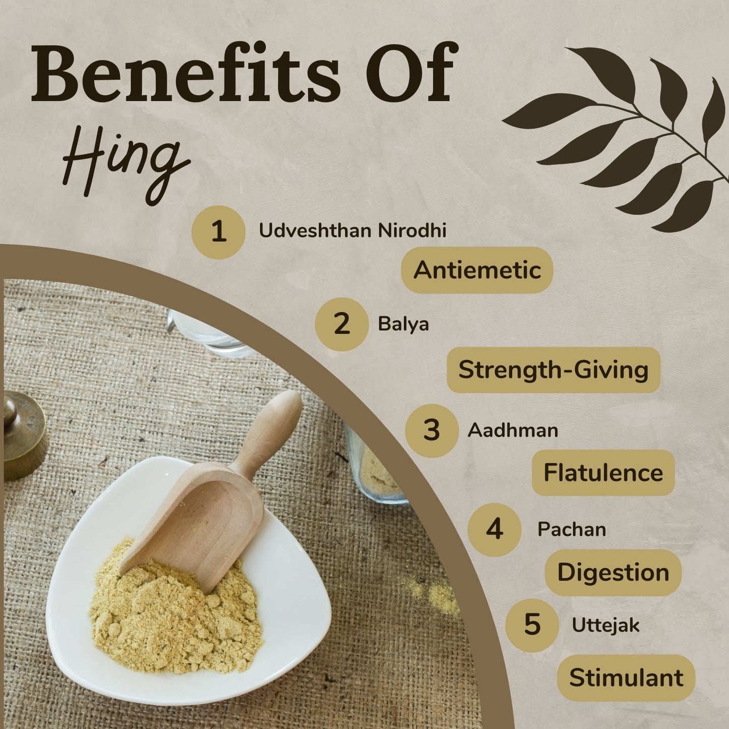 Songara Hing Churn: (Ferula narthex) 100% Natural and Pure Anti-Inflammatory Aromatic Flavor Versatile Usage (10 gm)