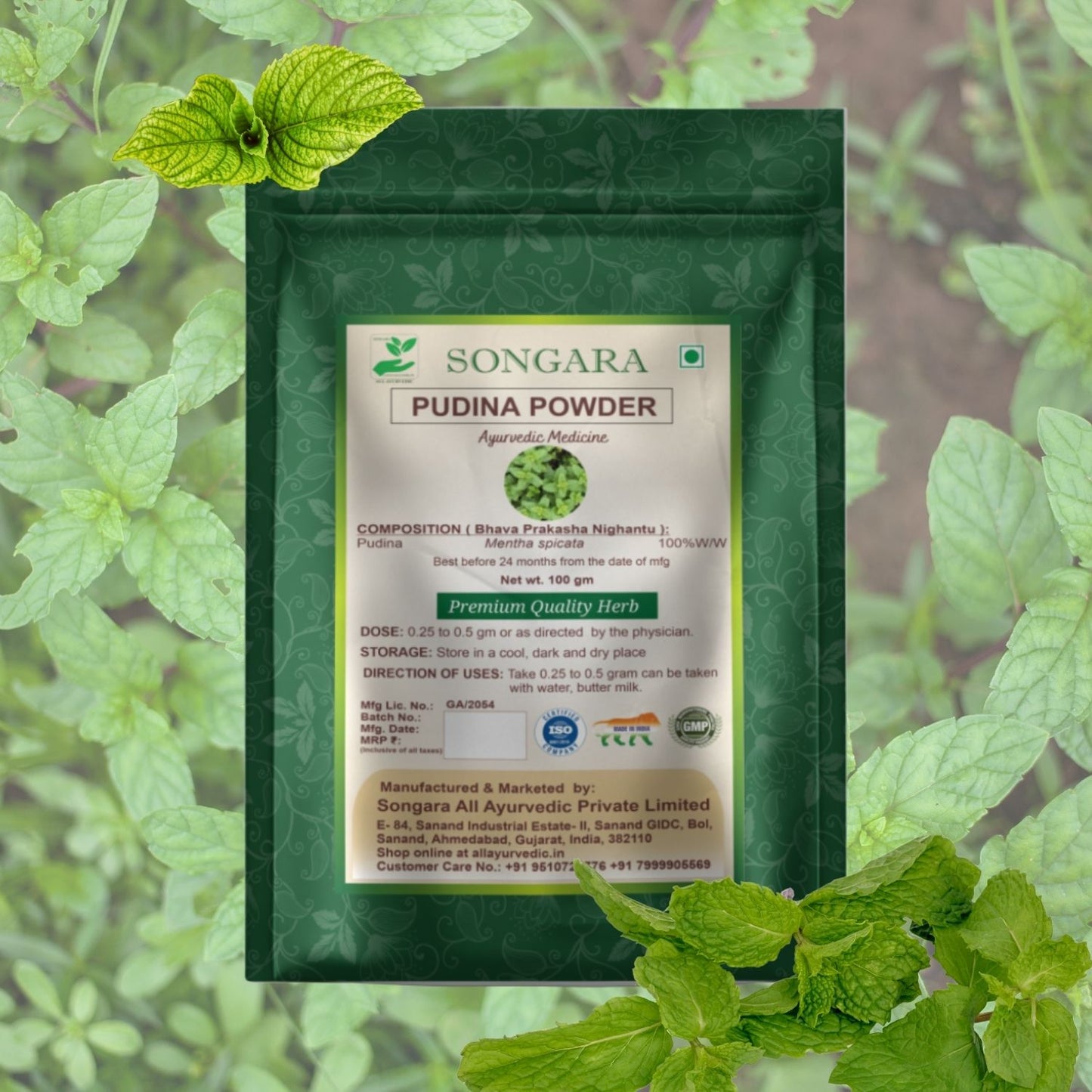 Songara Pudina Powder - (Mentha spicata) herbal remedy for bloating and gas