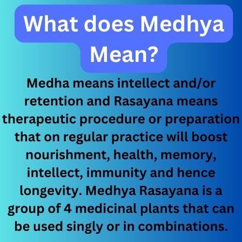 Songara Medhya Rasayana | Ayurvedic Memory Booster supports brain function improves focus pure natural powder (75 gm)