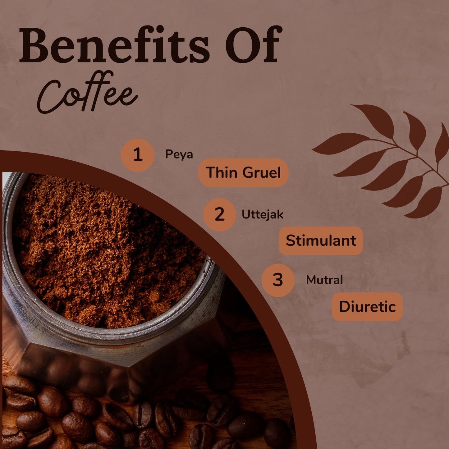 Songara Coffee: (Coffea Arabica) 100% Pure Natural Coffee Powder | Rich & Creamy Taste | Instant Coffee for Smooth
