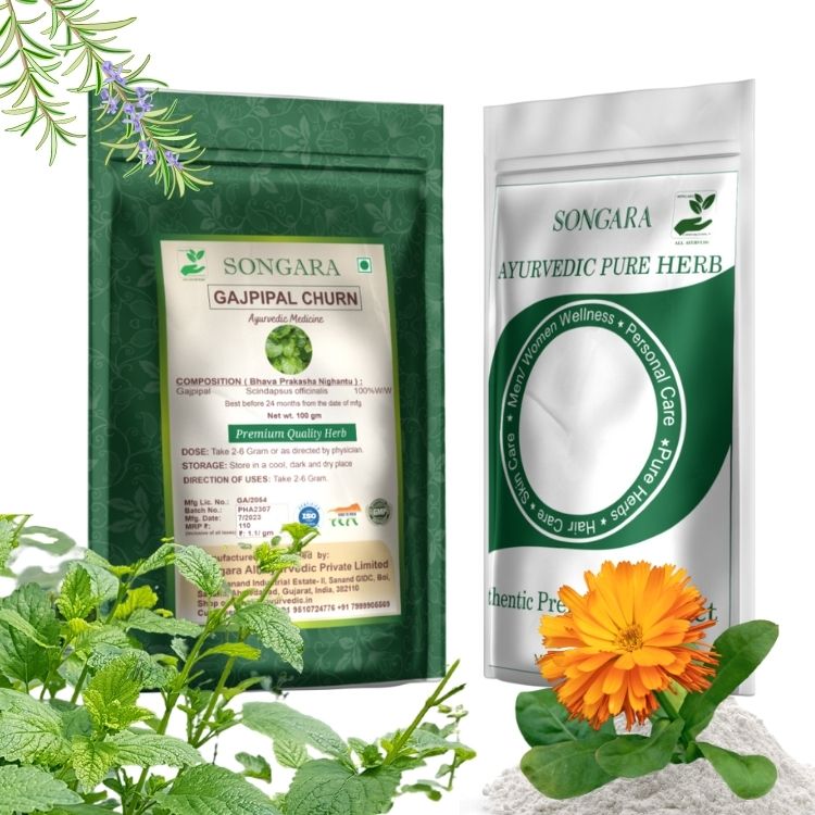 Songara Gaj Pipal -Ayurvedic Gajpeepal - Gaj Peepal - Scindapsus Officinalis Powder| Pure Natural and Ayurvedic (Pack