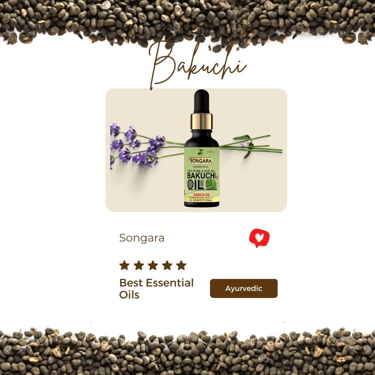 Songara Bakuchi Oil (Psoralea corylifolia): Natural Therapeutic, 100% Undiluted, Natural & Therapeutic Grade - Traditional Remedy To Cure Skin & Hair Care  Grade,  Cold Pressed 50 ml