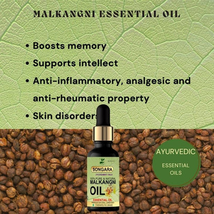 Songara Pure Malkangani (Jyotishmati) Oil (Celastrus paniculatus), Natural Therapeutic Grade for Intellect, Memory, Skin| Cold Pressed 50ml