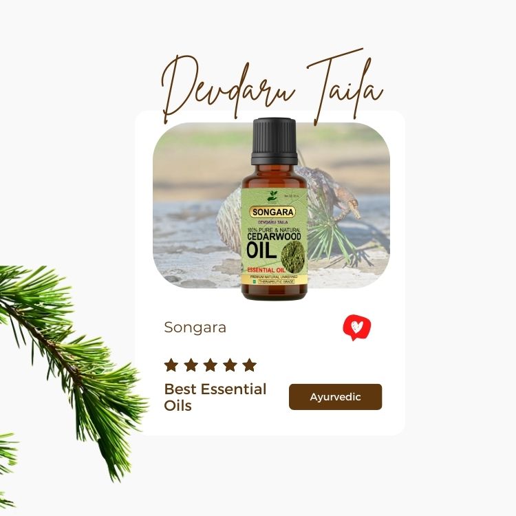 Songara Cedarwood Essential Oil- 100% Pure Ayurvedic | Strengthens hair follicles promotes shiny hair | Beard oil