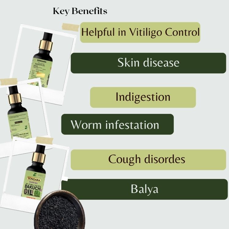 Songara Bakuchi Oil (Psoralea corylifolia): Natural Therapeutic 100% Undiluted Natural & Therapeutic Grade