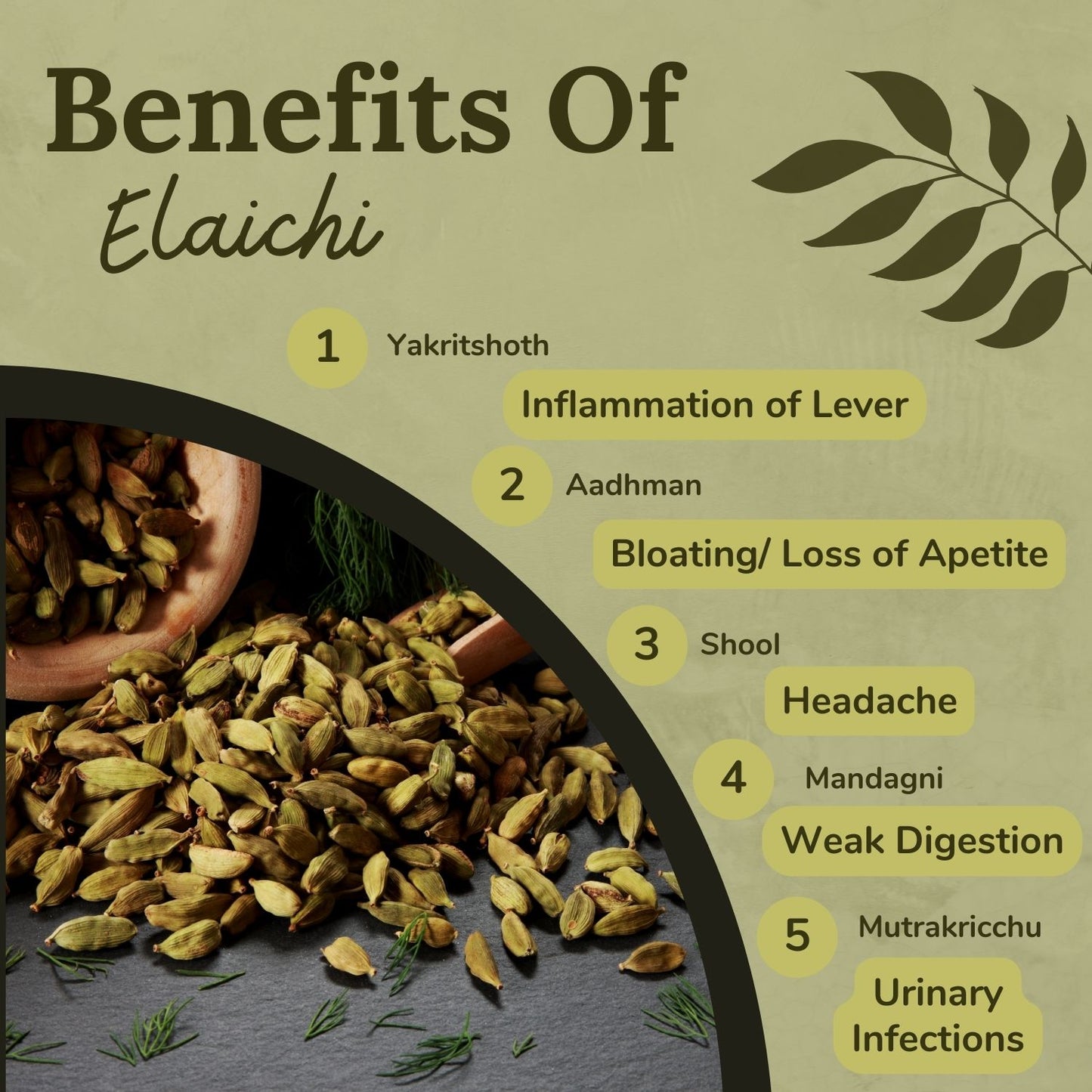 Songara Ilaichi Powder: (Amomum subulatum) Premium Ilaichi Powder | Pure and Authentic | Convenient and Versatile