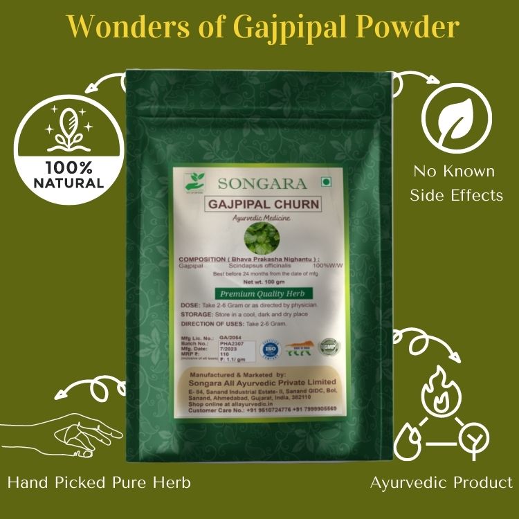 Songara Gaj Pipal -Ayurvedic  Gajpeepal - Gaj Peepal - Scindapsus Officinalis Powder| Pure Natural and Ayurvedic (Pack of 1)