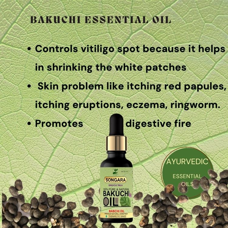 Songara Bakuchi Oil (Psoralea corylifolia): Natural Therapeutic, 100% Undiluted, Natural & Therapeutic Grade - Traditional Remedy To Cure Skin & Hair Care  Grade,  Cold Pressed 50 ml