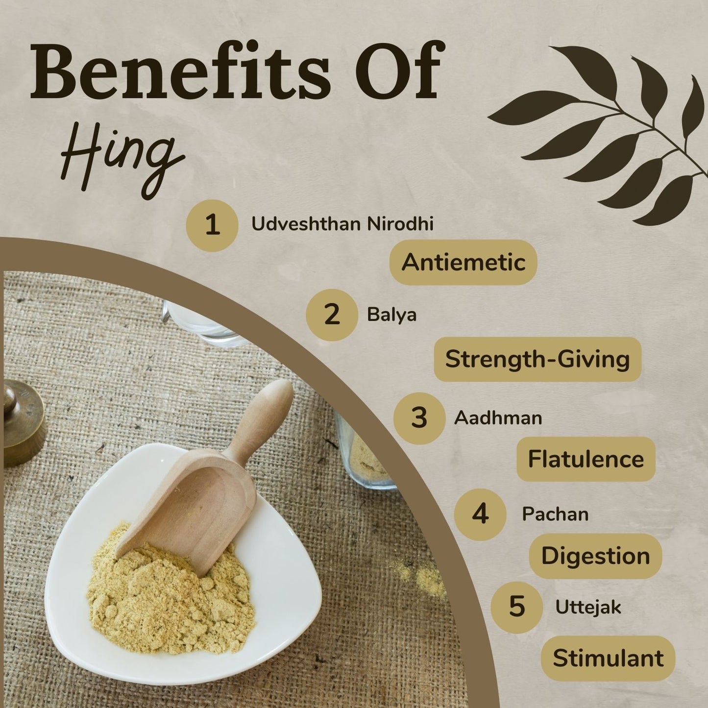 Songara Hing Churn: (Ferula narthex) 100% Natural and Pure, Anti-Inflammatory, Aromatic Flavor, Versatile Usage