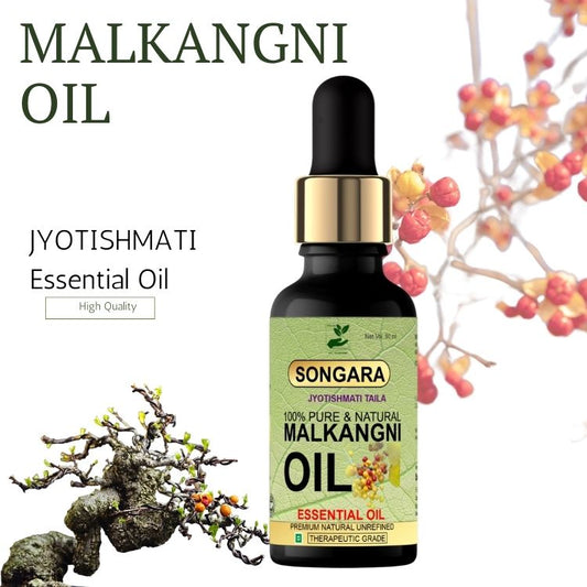 Songara Pure Malkangani (Jyotishmati) Oil (Celastrus paniculatus), Natural Therapeutic Grade for Intellect, Memory, Skin| Cold Pressed 50ml