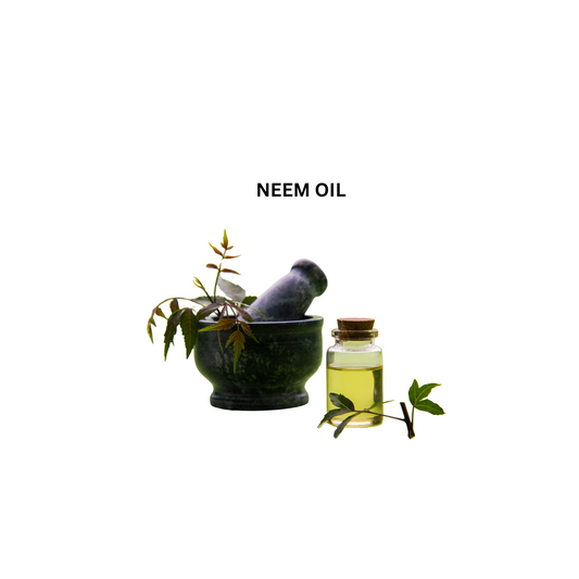 Songara Neem Oil: Azadirachata india 20 ml)