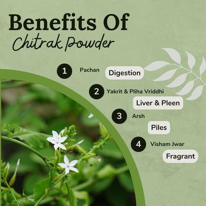 Songara Chitrak Powder: (Plumbago zeylanica), Supports Healthy Metabolism, Constipation, Indigestion, Piles, Muscular Pain, Diarrhoea, Diabetes, And Weakened Immunity, 100gm (1 Unit)