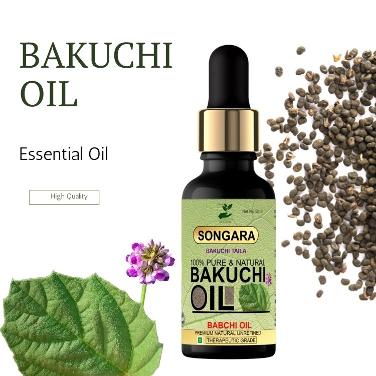 Songara Bakuchi Oil (Psoralea corylifolia): Natural Therapeutic, 100% Undiluted, Natural & Therapeutic Grade - Traditional Remedy To Cure Skin & Hair Care  Grade,  Cold Pressed 50 ml