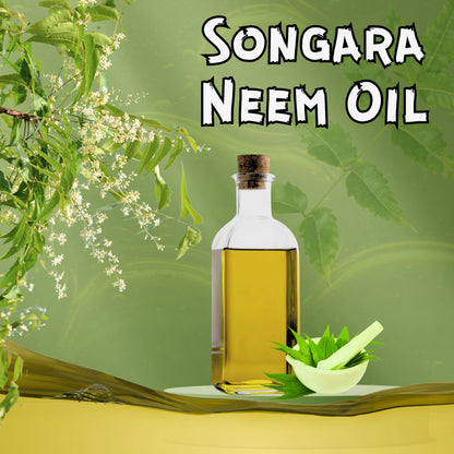 Songara Neem Oil: Azadirachata india (20 ml) for Skin, Hair & Health